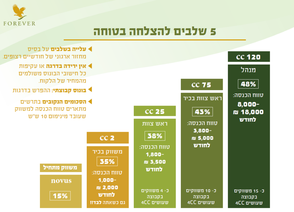 מבנה הדרגות הראשונות של פוראוור